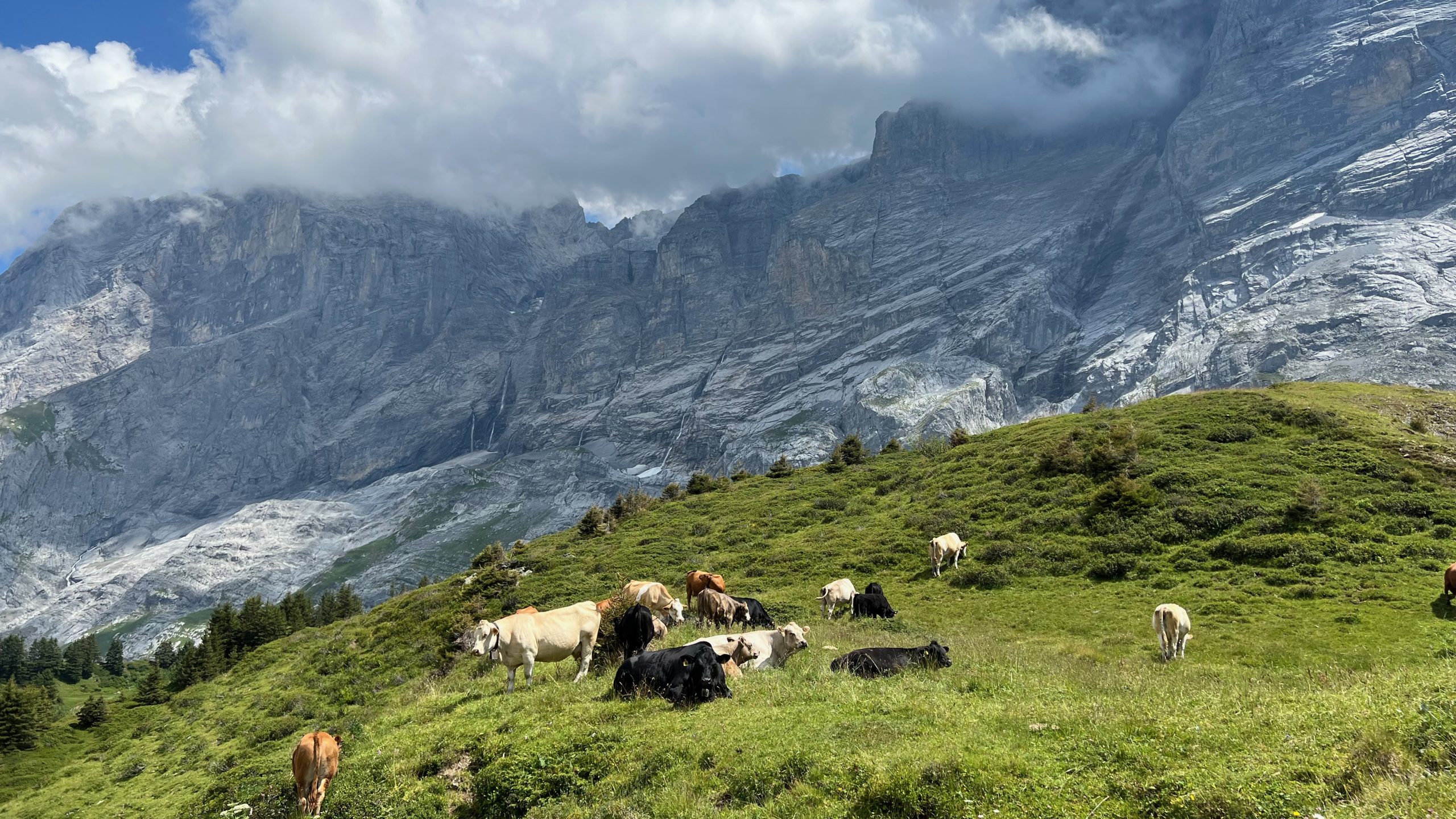 Grosse Scheidegg